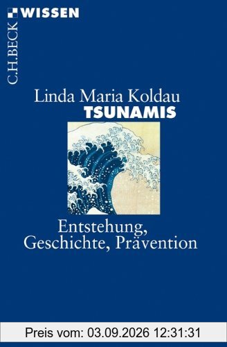 Tsunamis: Entstehung, Geschichte, Prävention