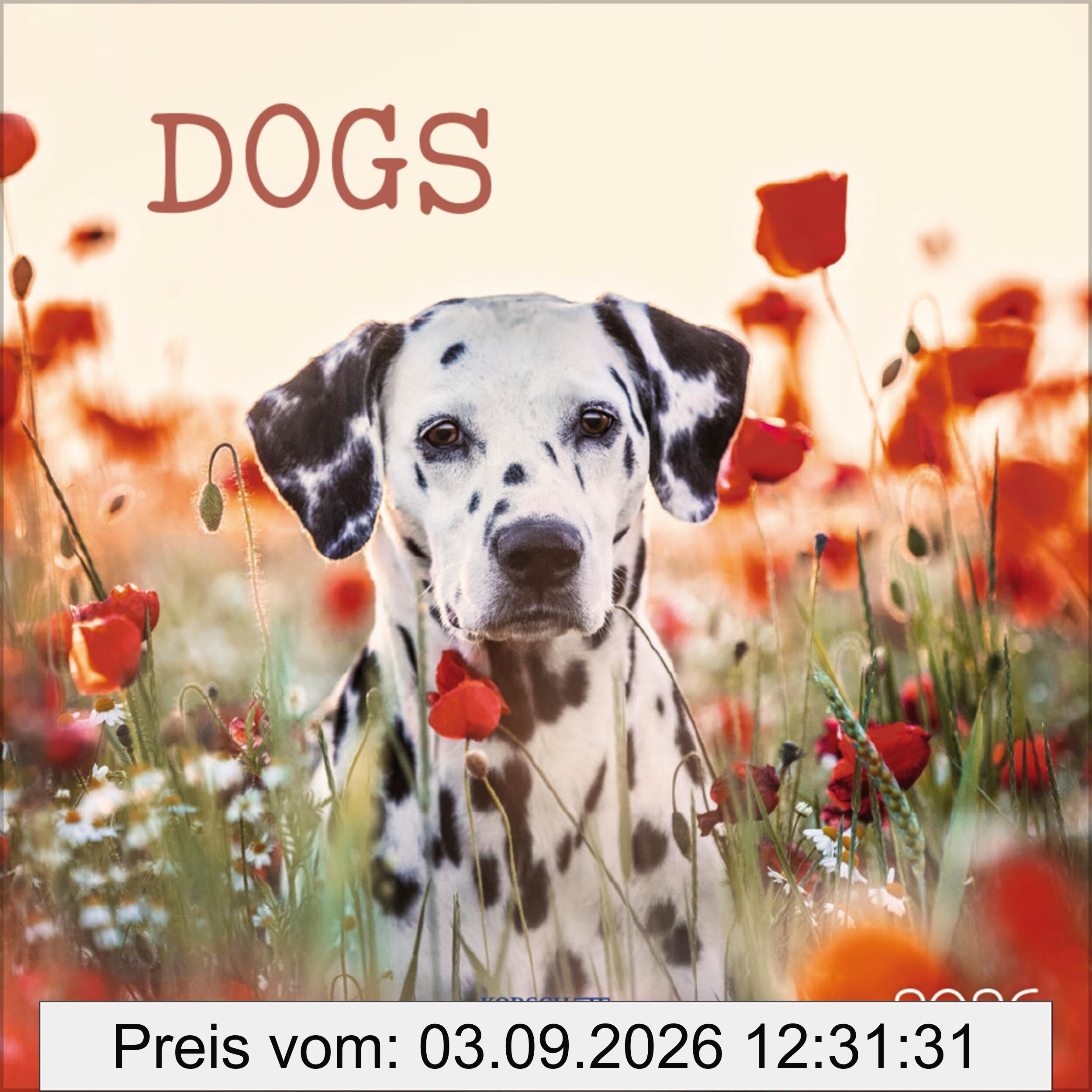 Dogs 2026