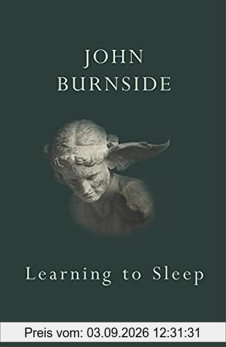 Learning to Sleep