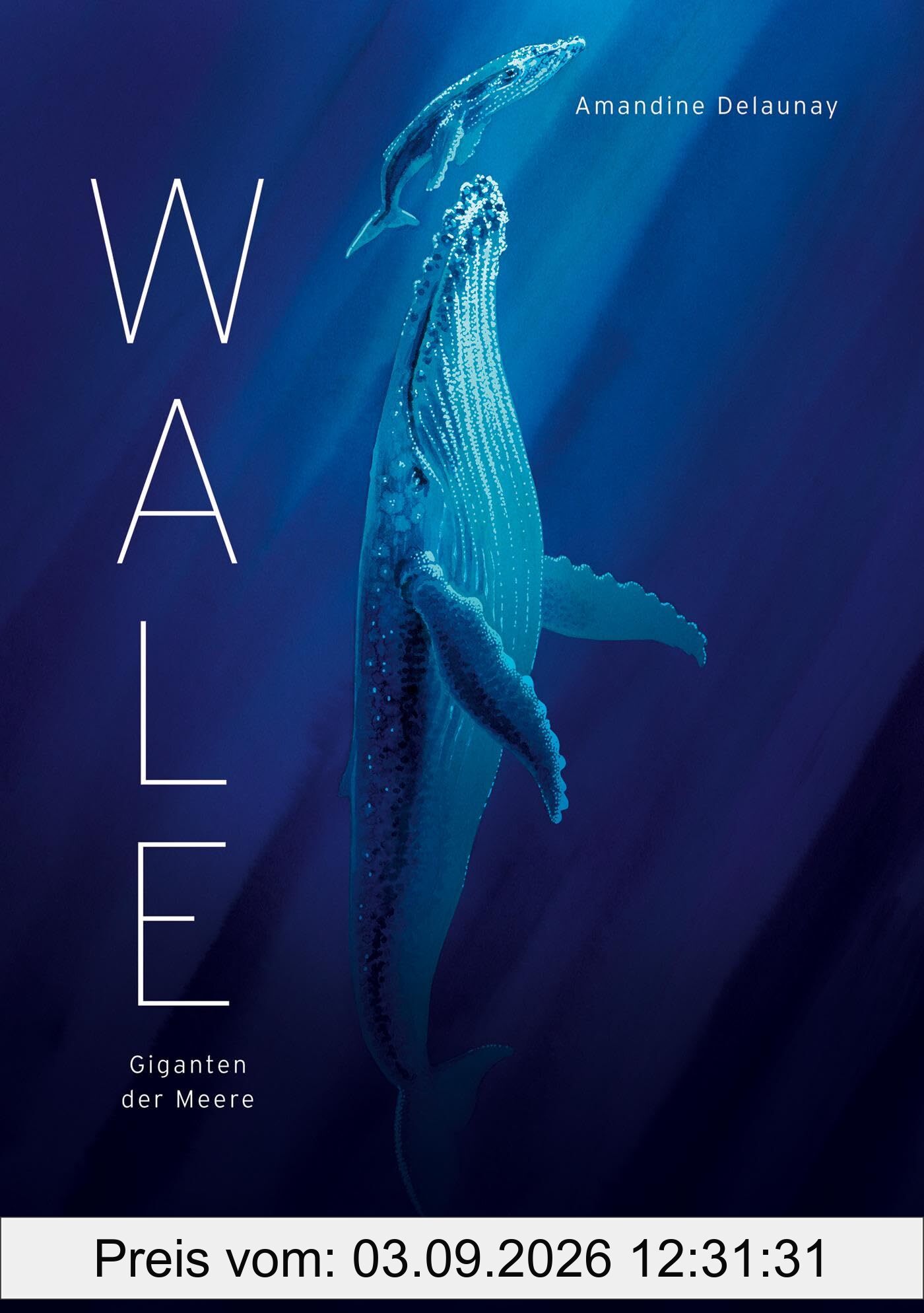 Wale: Giganten der Meere