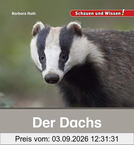 Der Dachs: Schauen und Wissen!