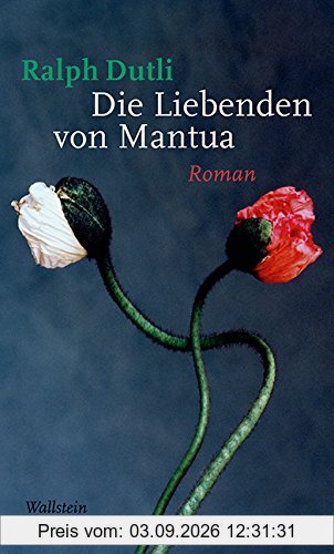 Die Liebenden von Mantua: Roman