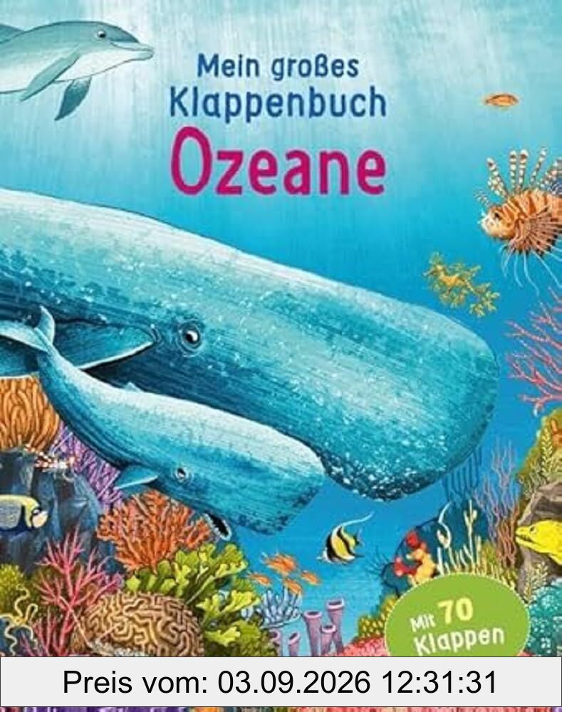 Mein großes Klappenbuch - Ozeane