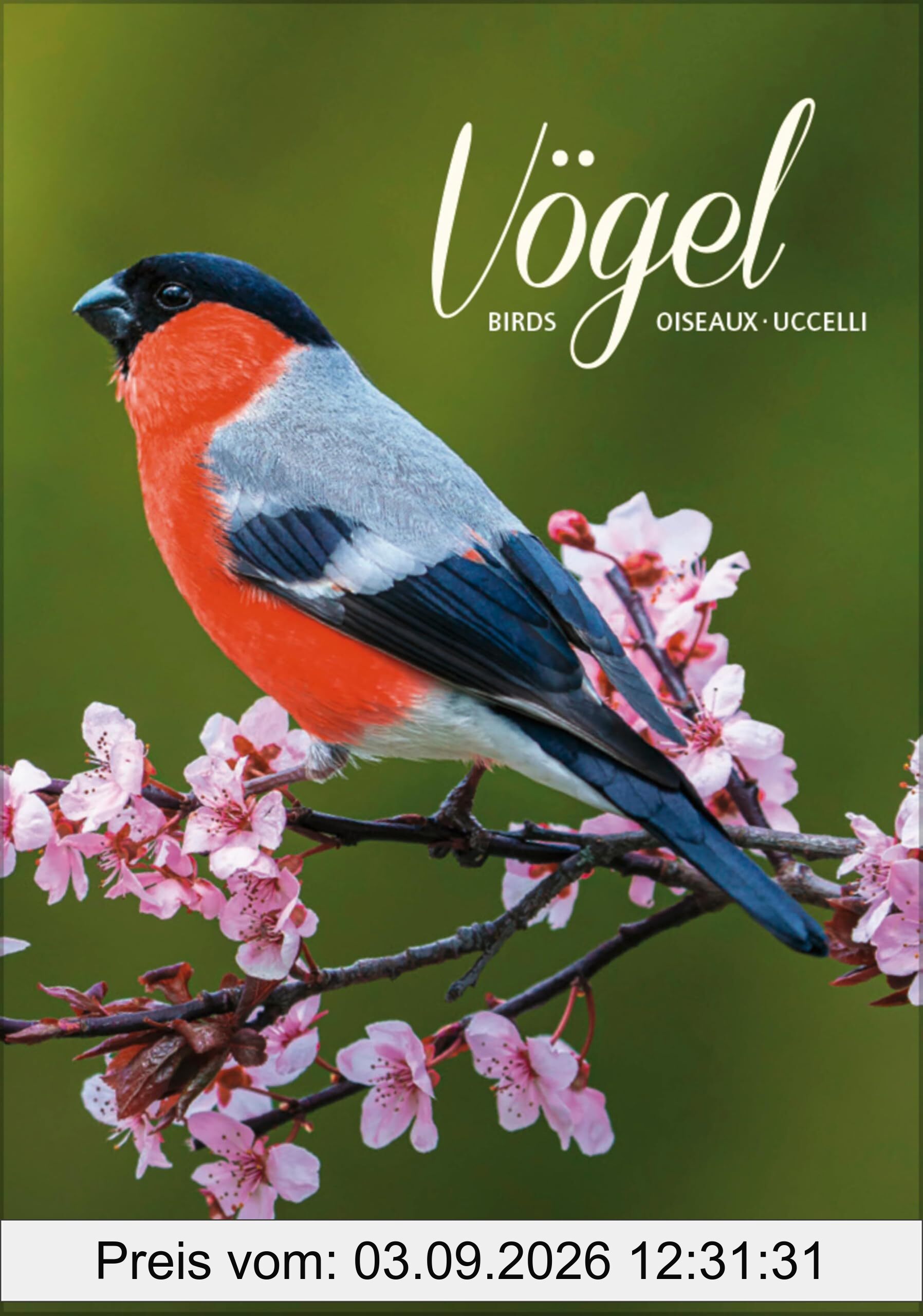 Vögel 2026