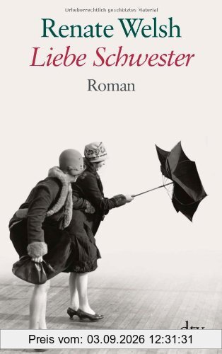 Liebe Schwester: Roman
