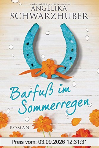 Barfuß im Sommerregen: Roman