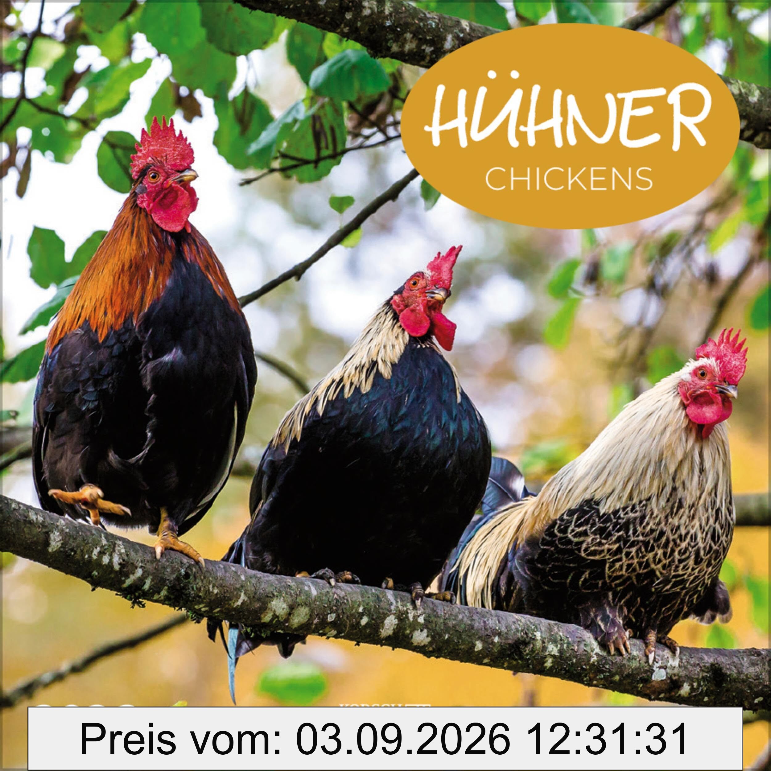 Hühner 2026