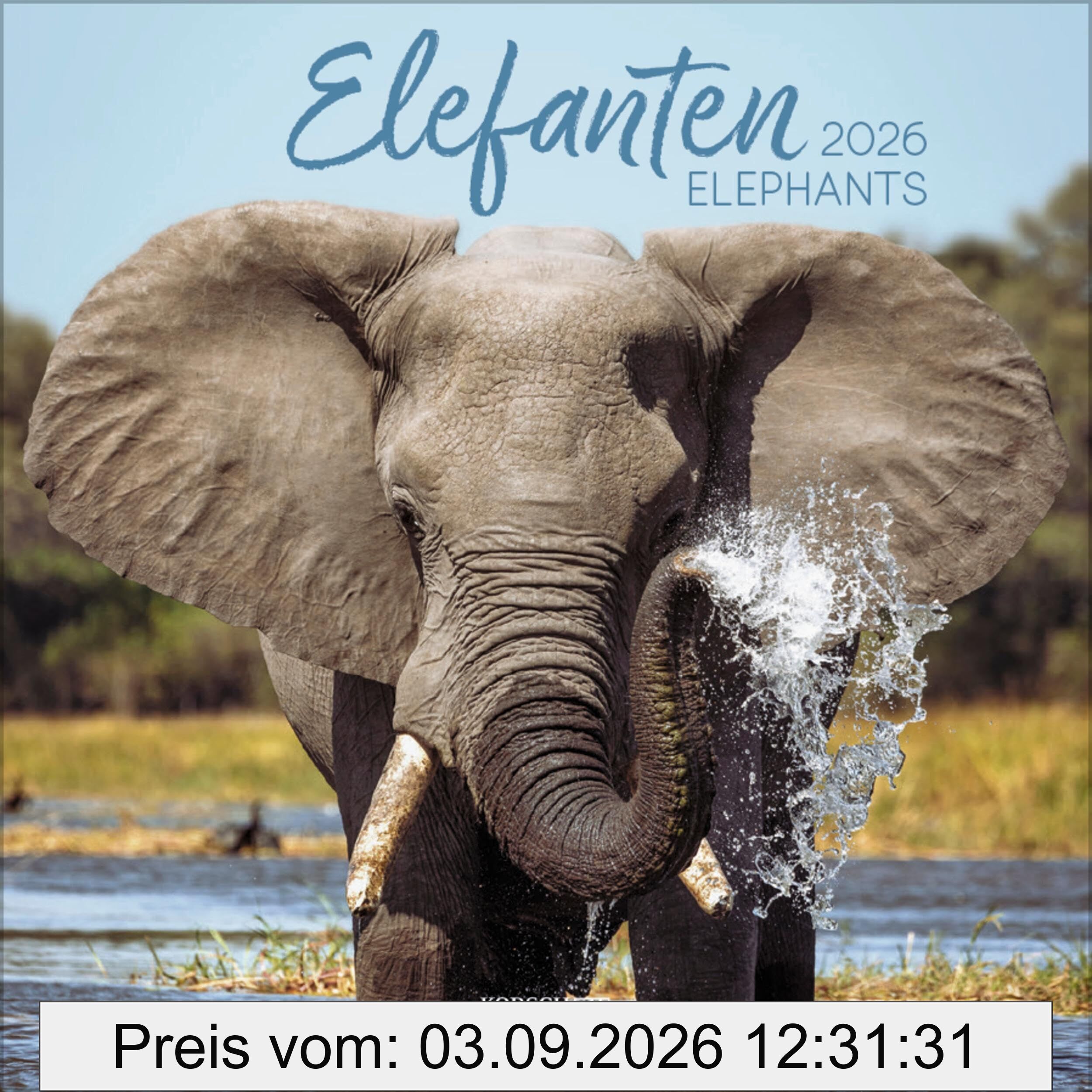 Elefanten 2026