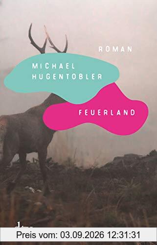 Feuerland: Roman