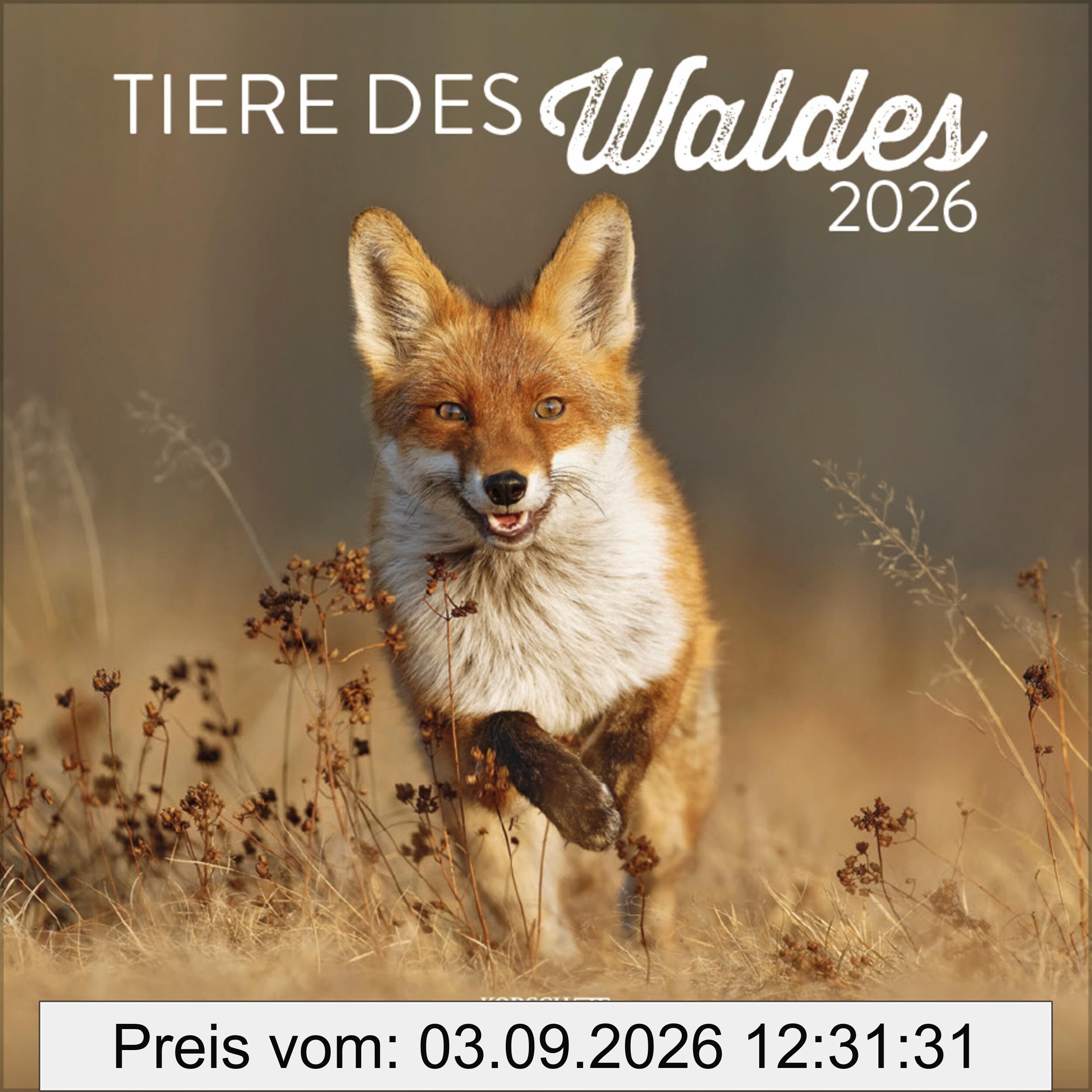 Tiere des Waldes 2026