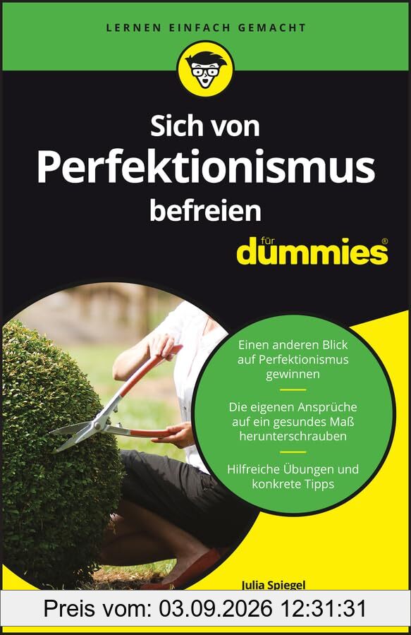 Sich von Perfektionismus befreien für Dummies