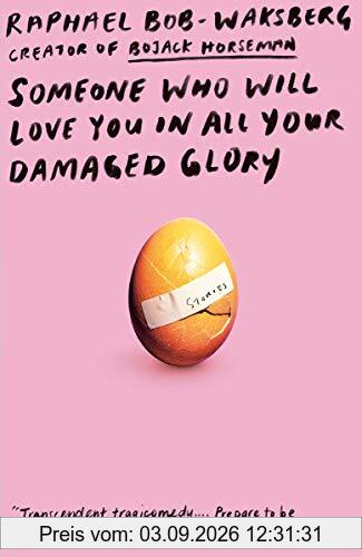 Someone Who Will Love You in All Your Damaged Glory: Stories
