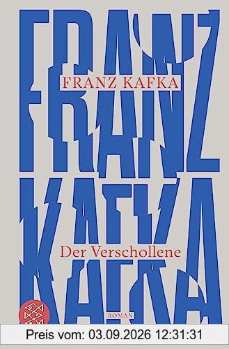 Der Verschollene: Roman