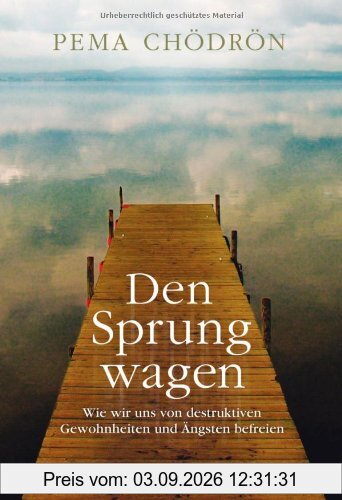 Den Sprung wagen: Wie wir uns von destruktiven Gewohnheiten und Ängsten befreien