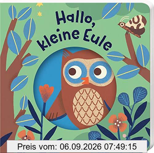 Hallo, kleine Tiere: Hallo, kleine Eule