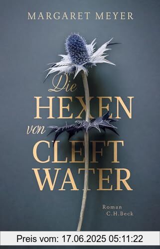 Binding : Gebundene Ausgabe, Edition : 1, Label : C.H.Beck, Publisher : C.H.Beck, medium : Gebundene Ausgabe, numberOfPages : 350, publicationDate : 2024-01-25, releaseDate : 2024-01-25, authors : Margaret Meyer, translators : Cornelius Hartz, ISBN : 3406806864