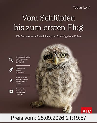 Vom Schlüpfen bis zum ersten Flug: Die faszinierende Entwicklung der Greifvögel und Eulen