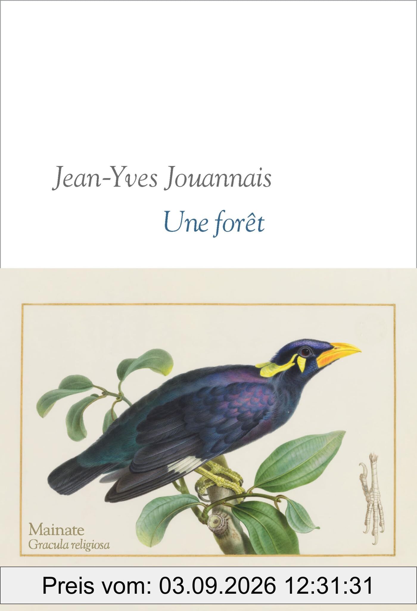 Une forêt