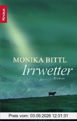 Irrwetter: Roman