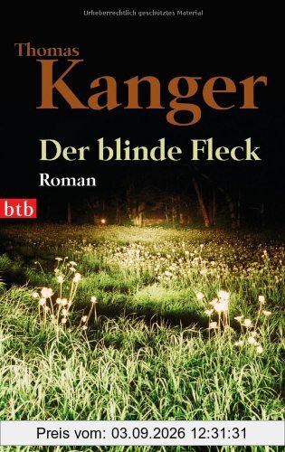 Der blinde Fleck: Roman