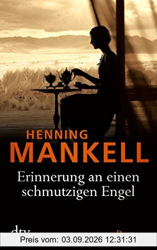 Erinnerung an einen schmutzigen Engel: Roman