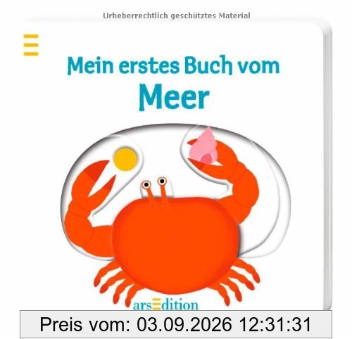 Mein erstes Buch vom Meer