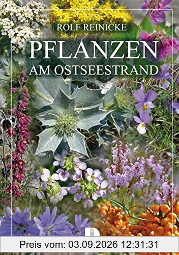 Pflanzen am Ostseestrand