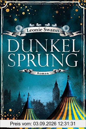 Dunkelsprung: Roman