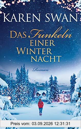 Das Funkeln einer Winternacht: Roman