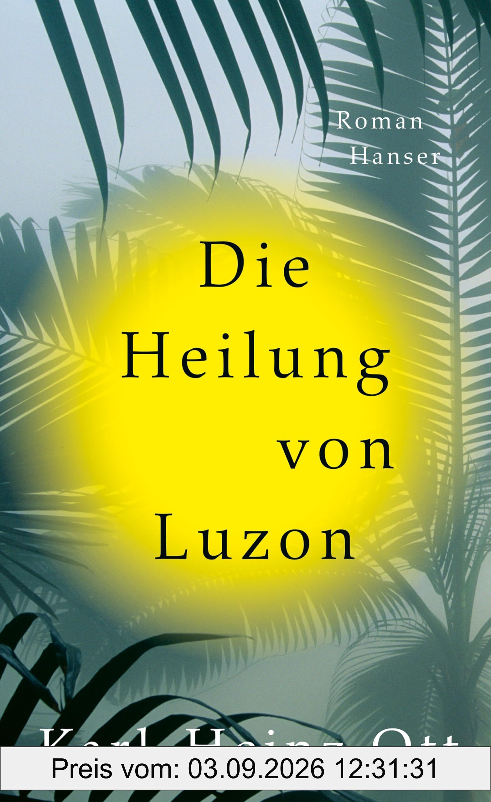 Die Heilung von Luzon: Roman