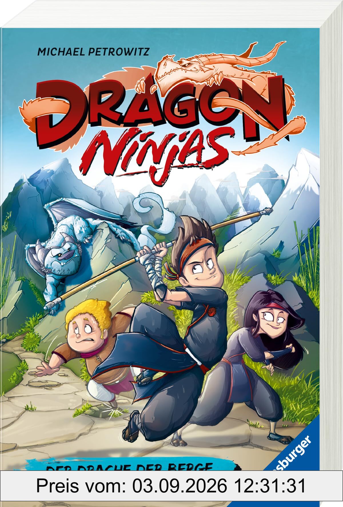Dragon Ninjas, Band 1: Der Drache der Berge - Drachenstarkes Kinderbuch ab 8 Jahre - Cooles Geschenk für Jungs und Mädchen (Dragon Ninjas, 1)