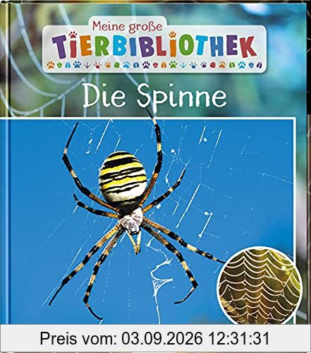 Meine große Tierbibliothek: Die Spinne: Sachbuch für Vorschule & Grundschule
