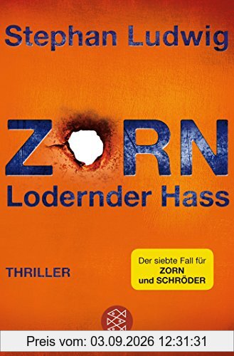 Zorn 7 - Lodernder Hass: Thriller