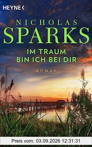Im Traum bin ich bei dir: Roman