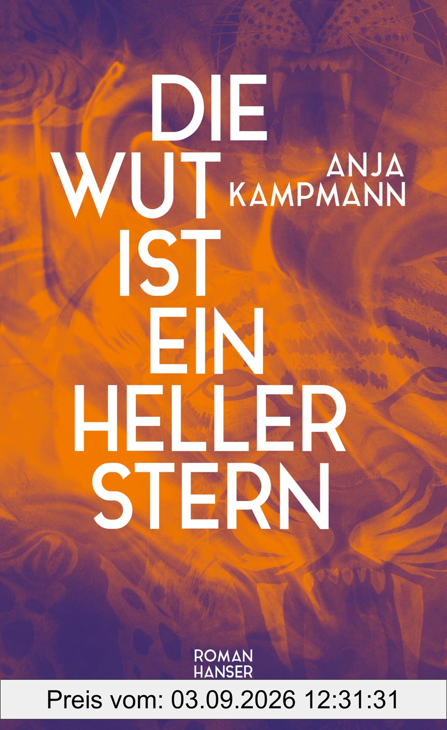 Die Wut ist ein heller Stern: Roman