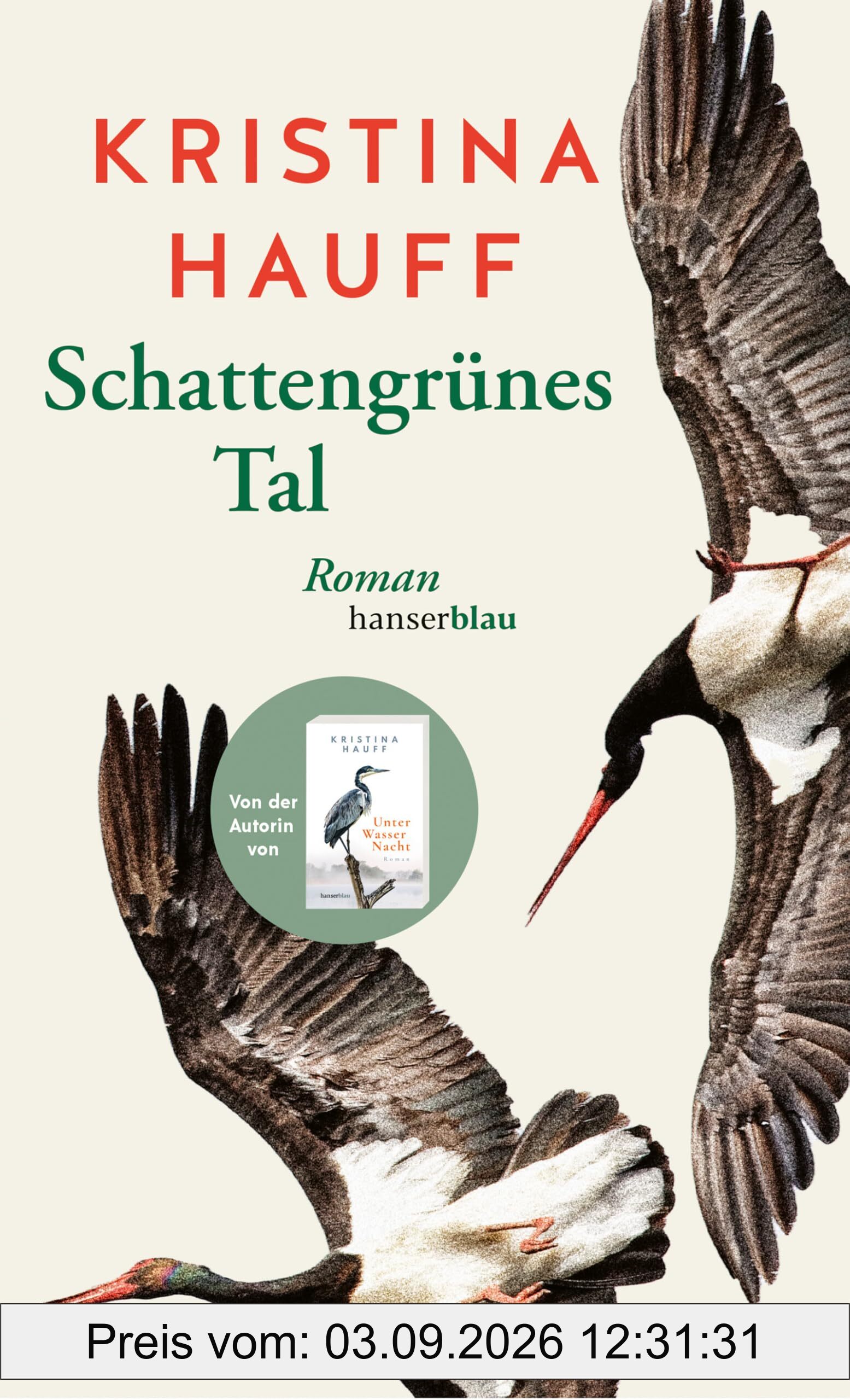 Schattengrünes Tal: Roman