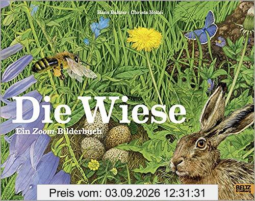 Die Wiese: Ein Zoom-Bilderbuch