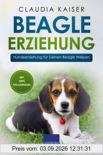 Beagle Erziehung: Hundeerziehung für Deinen Beagle Welpen