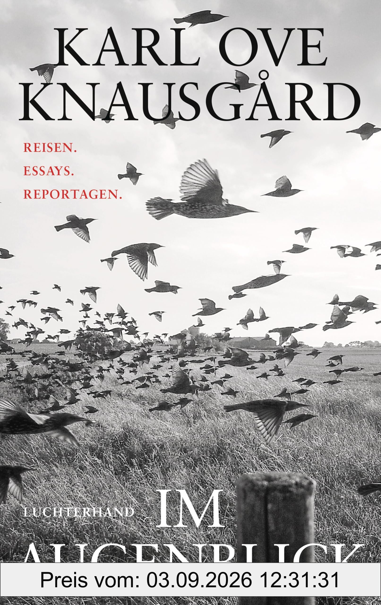 Im Augenblick: Reisen. Essays. Reportagen.