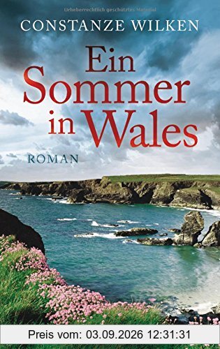 Ein Sommer in Wales: Roman