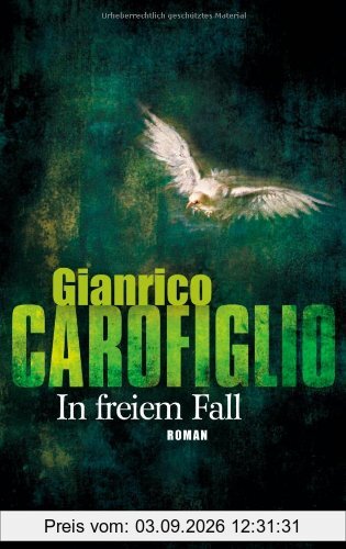 In freiem Fall: Roman