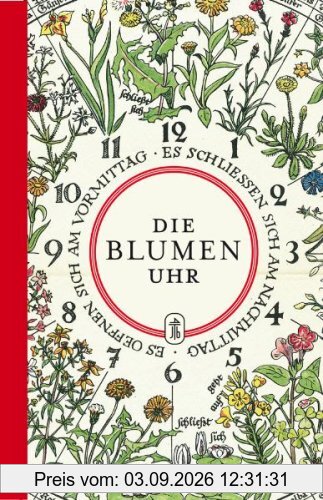 Die Blumenuhr