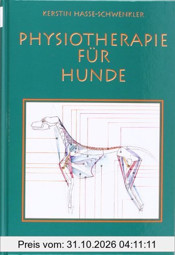 Physiotherapie für Hunde