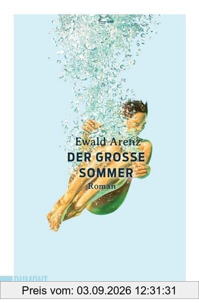 Der große Sommer: Roman