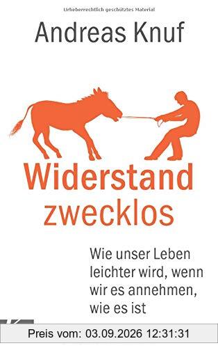 Widerstand zwecklos: Wie unser Leben leichter wird, wenn wir es annehmen, wie es ist