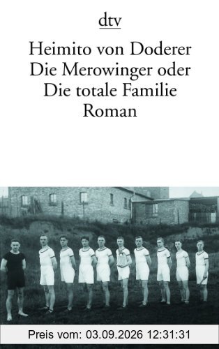 Die Merowinger oder Die totale Familie: Roman