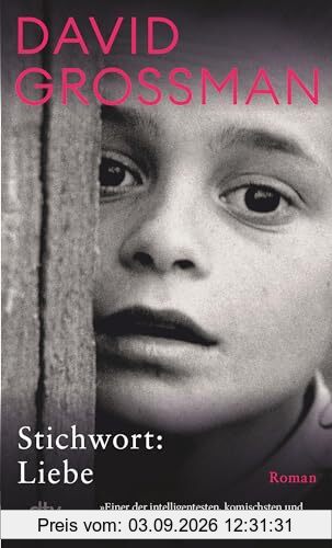 Stichwort: Liebe: Roman | »Einer der intelligentesten, komischsten und traurigsten Romane der Gegenwart.« DIE ZEIT