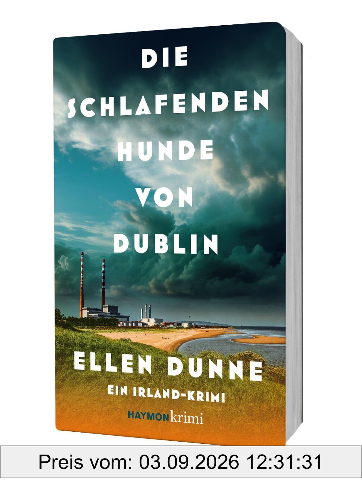 Die schlafenden Hunde von Dublin