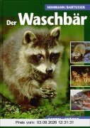 Der Waschbär