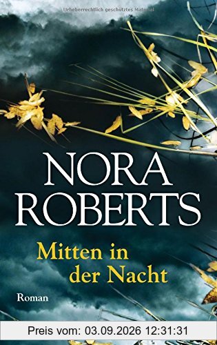 Mitten in der Nacht: Roman
